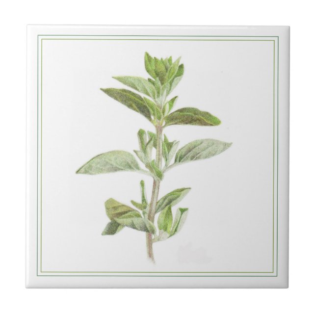 FRISCHE OREGANO 4.25x4.25-Keramik-Datei (-text) Fliese (Vorderseite)