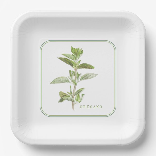 FRISCHE OREGANO 9" Square Paper Tellers Pappteller (Vorderseite)