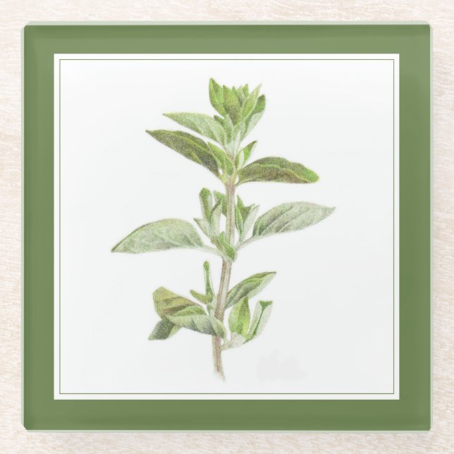 FRISCHE OREGANO Glasgetränkekappe (-text) Grün Glasuntersetzer (Vorderseite)