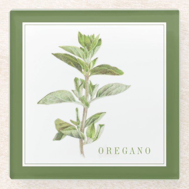 FRISCHE OREGANO Glasgetränkekappe (+text) Grün Glasuntersetzer (Vorderseite)