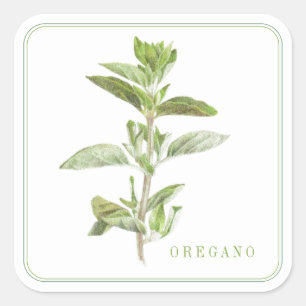 FRISCHE OREGANO Große Aufkleber
