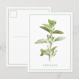 FRISCHE OREGANO Postkarte