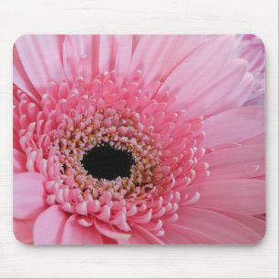 Frische Pinke Gerbera-Daisy-Fotografie Mousepad