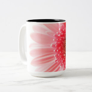 Frische Pinke Gerbera-Margerite Fotografie Zweifarbige Tasse