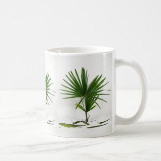 Frische Rhapis Excelsa (Damenpalme) Kaffeetasse