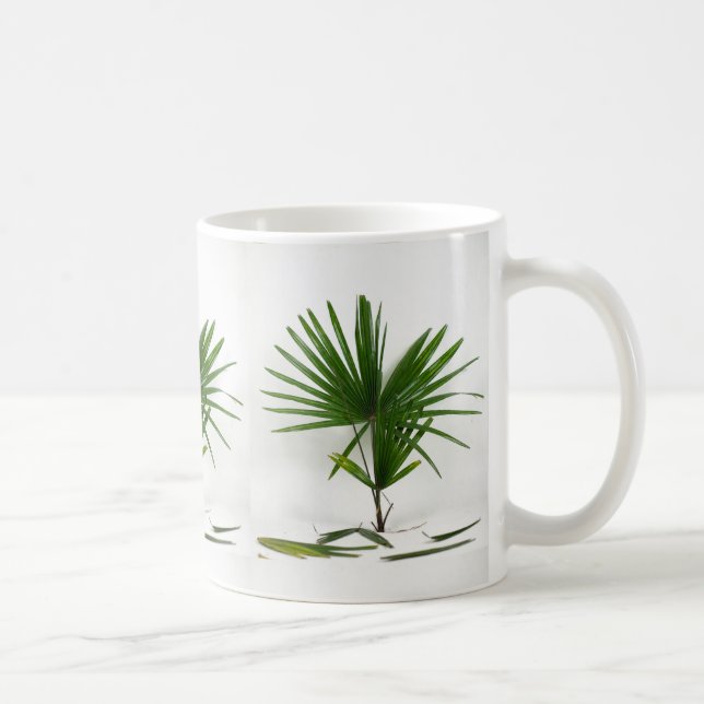 Frische Rhapis Excelsa (Damenpalme) Kaffeetasse (Rechts)