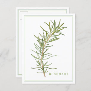 FRISCHE ROSEMARY Postkarte