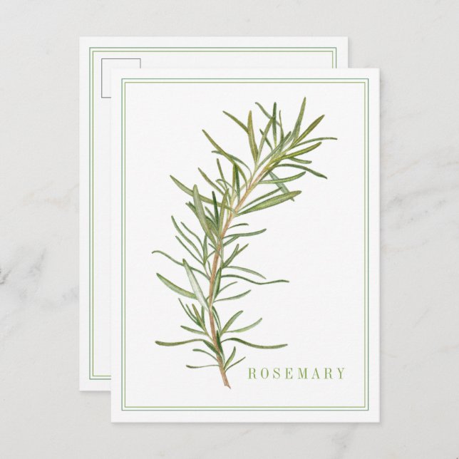 FRISCHE ROSEMARY Postkarte (Vorne/Hinten)