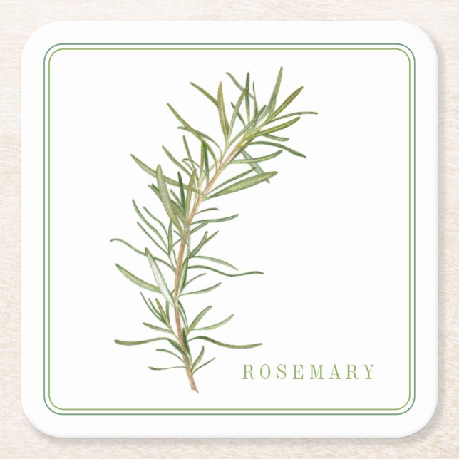FRISCHE ROSEMARY Square Paper Untersetzer (+text) (Vorderseite)