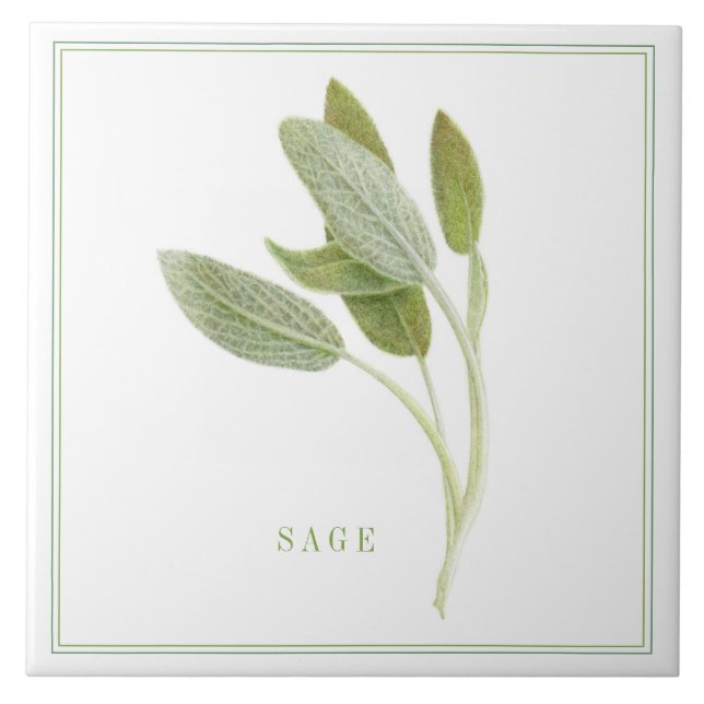 FRISCHE SAGE 6"x6" Keramik Tile (+text) Fliese (Vorderseite)