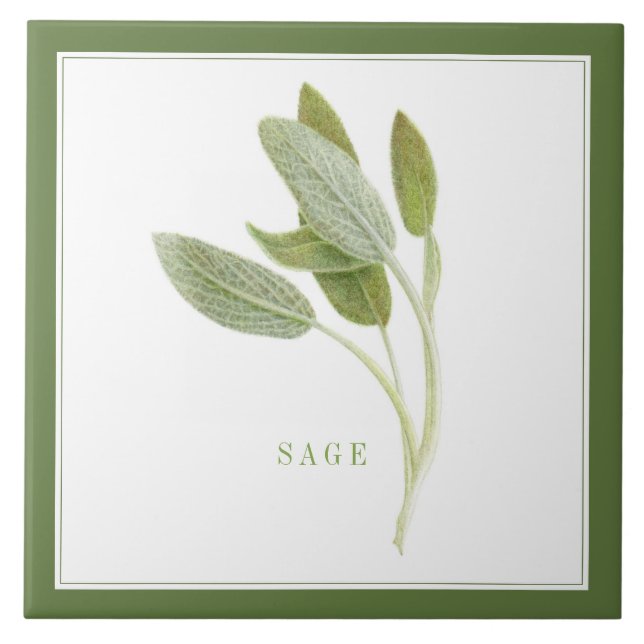 FRISCHE SAGE 6"x6" Keramik Tile (+text) Grün Fliese (Vorderseite)
