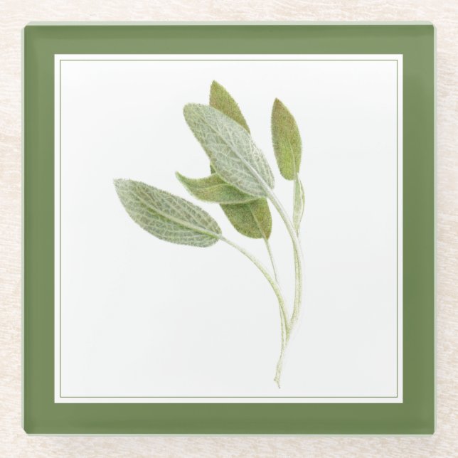 FRISCHE SAGE Glass Beverage Coaster (-text) Grün Glasuntersetzer (Vorderseite)