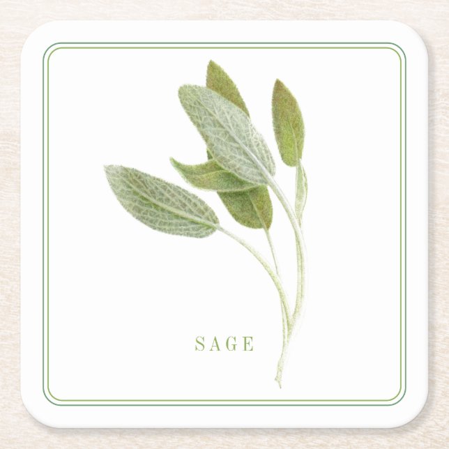 FRISCHE SAGE Square Paper Untersetzer (+text) (Vorderseite)