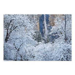 Frische Schneefälle in den Bäumen unterhalb von Br Fotodruck