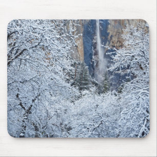 Frische Schneefälle unter den Bäumen von Bridalvei Mousepad