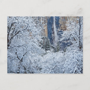 Frische Schneefälle unter den Bäumen von Bridalvei Postkarte