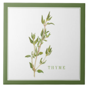 FRISCHE THYME 6x6 Keramik Tile (+text) Grün Fliese