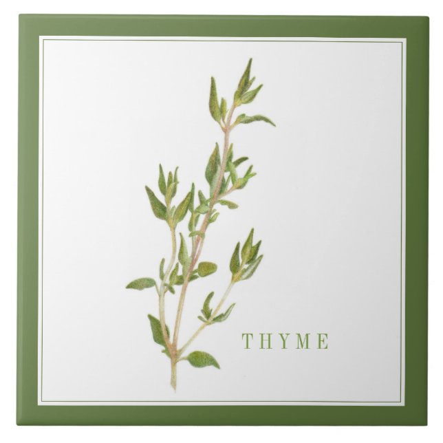 FRISCHE THYME 6x6 Keramik Tile (+text) Grün Fliese (Vorderseite)
