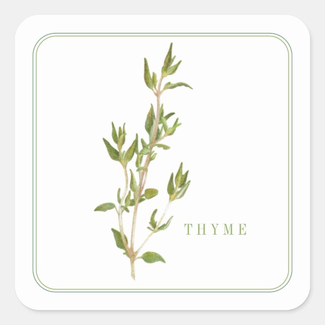 FRISCHE THYME Kleine Aufkleber (Vorderseite)