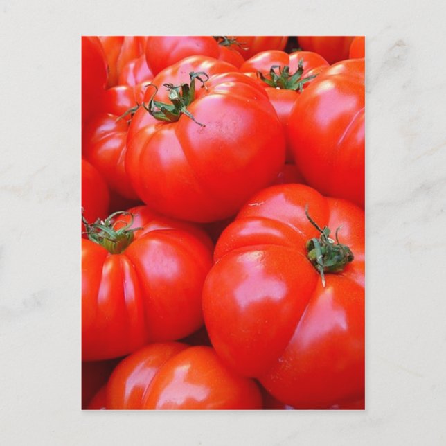frische Tomaten Postkarte (Vorderseite)