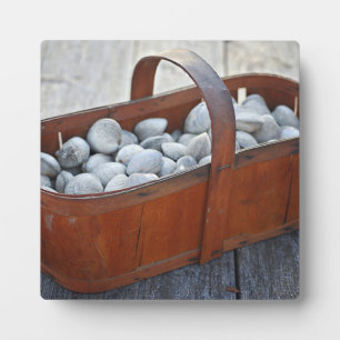 Frische Venusmuscheln in altem englischen Holzkorb Fotoplatte