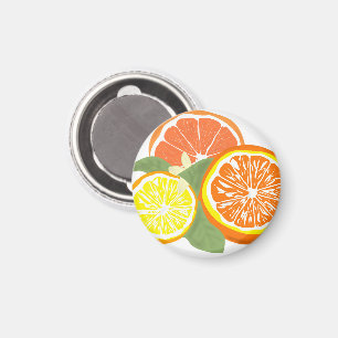 Frische Zitrus Scheiben Orange Zitrone Magnet