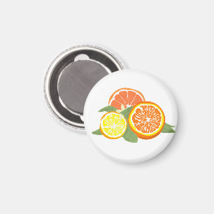 Frische Zitrus Scheiben Orange Zitrone Magnet