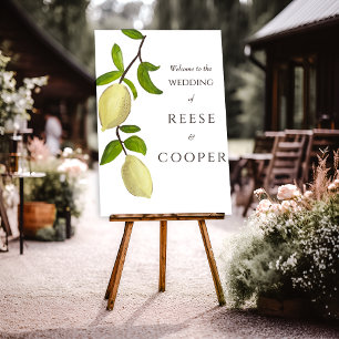 Frische Zitrusfarbene Bemalte Zitronen Mediterrane Poster