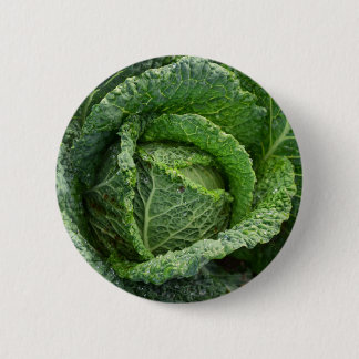 Frischer Bio Kohlkopf Button