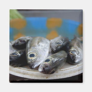 Frischer Fisch auf dem Fischmarkt (Mercado de Peix Magnet