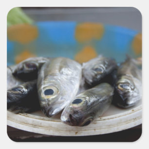 Frischer Fisch auf dem Fischmarkt (Mercado de Peix Quadratischer Aufkleber