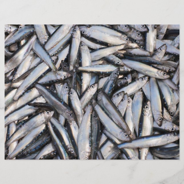 Frischer Fisch - Lebensmittelzutaten. Flyer (Vorne)