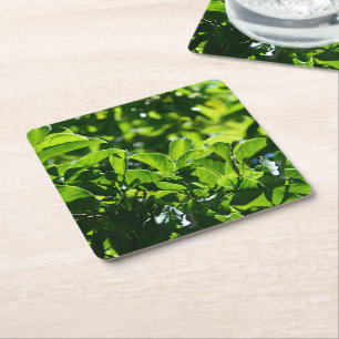 frischer Frühling, Sommer grün Blätter Papier Unte Rechteckiger Pappuntersetzer