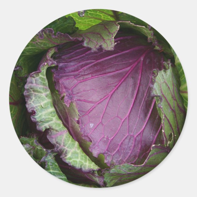 Frischer Kohl Runder Aufkleber (Vorderseite)