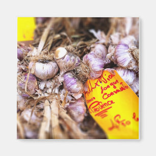 Frischer lila Knoblauch Provence Magnet