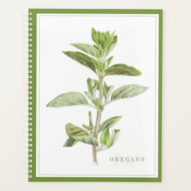 FRISCHER OREGANO 8.5x11 Planer / Grün (Vorderseite)