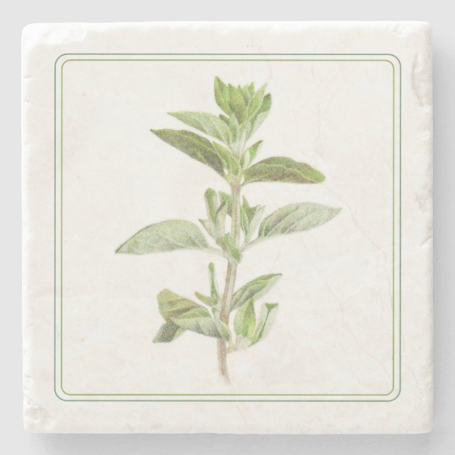 FRISCHER OREGANO Marmorstein Untersetzer (-text) (Vorderseite)
