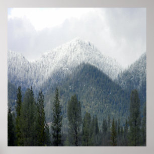 Frischer Pulverschnee..... Poster