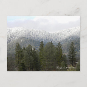 Frischer Pulverschnee... Postkarte