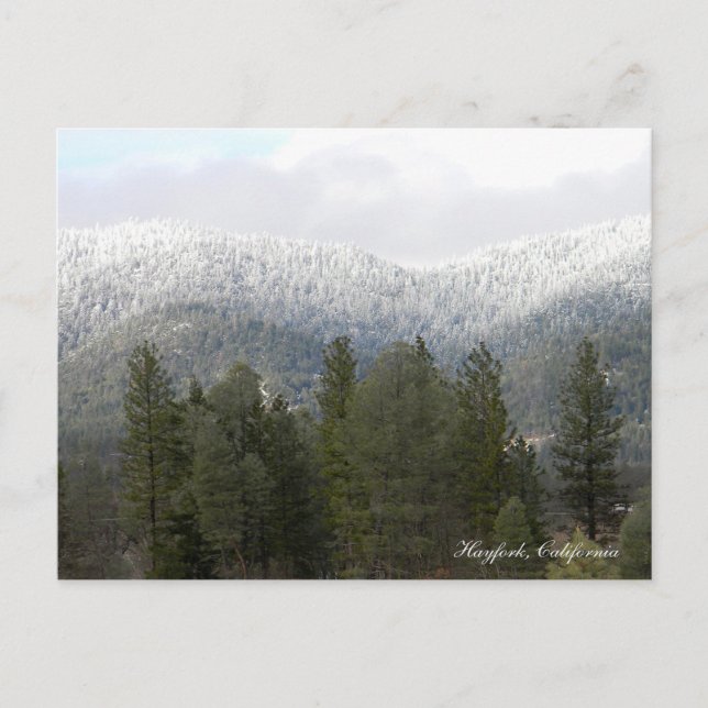 Frischer Pulverschnee... Postkarte (Vorderseite)