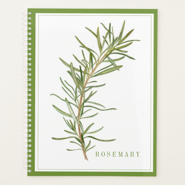 FRISCHER ROSEMARY 8.5x11 Planer / Grün (Vorderseite)