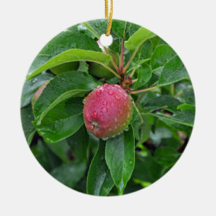 Frischer roter Apfel auf Baum Keramik Ornament