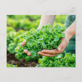 Frischer Salat mit lebhaften Grüntönen Feiertagspostkarte