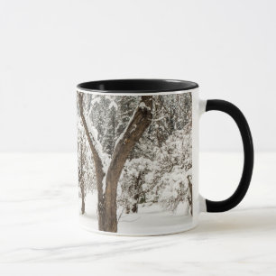 Frischer Schnee auf roter Scheune Tasse