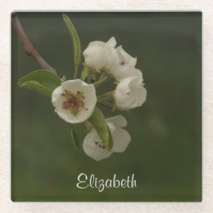 Frisches Frühlingshintern blüht Personalisiertes F Glasuntersetzer