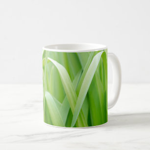 Frisches grünes Pflanzenlaub Kaffeetasse