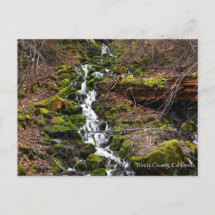 Frisches Quellwasser....Postkarte Postkarte