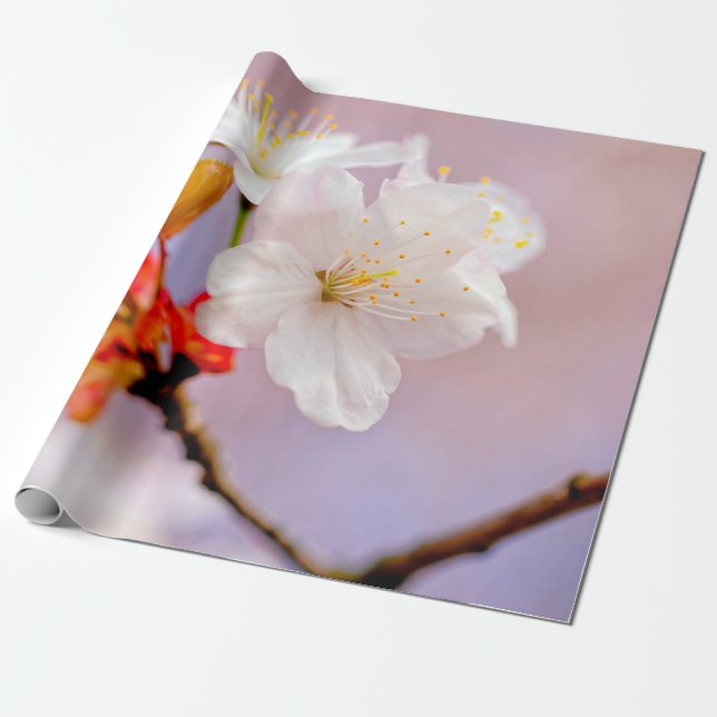Frisches Weißes Kirschblüten Niedlich Sakura Schön Geschenkpapier (Ungerollt)