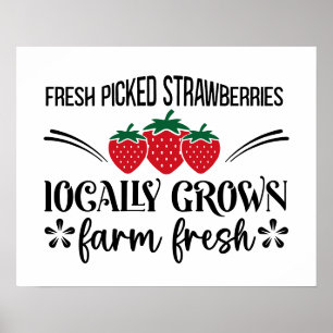 Frischgepflückte Erdbeeren aus heimischer Produkti Poster