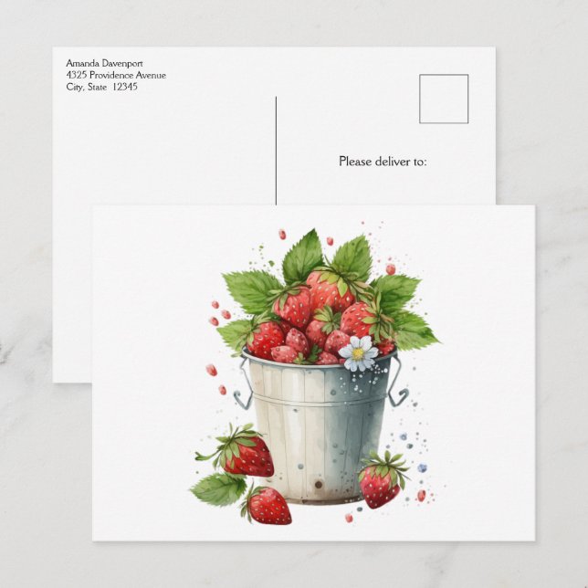 Frischgepflückte Erdbeeren in einem Eimer Postkarte (Vorne/Hinten)